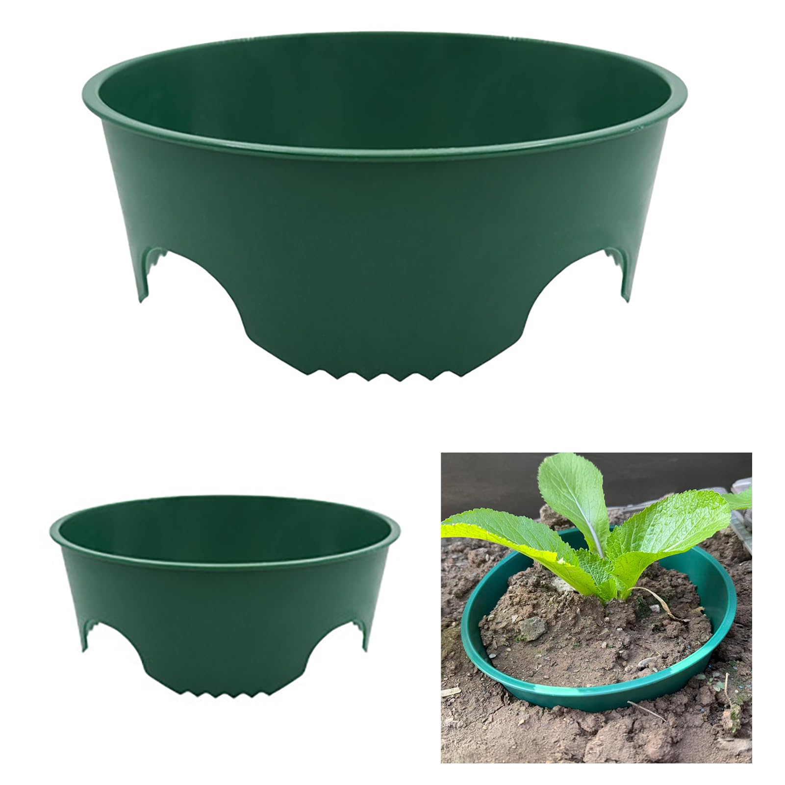 Pierścienie do uprawy roślin, 24 cm, okrągłe pierścienie podtrzymujące rośliny, wspierają głębokie podlewanie, ochraniacz roślin ogrodowych, do warzyw, ziół, 6 szt
