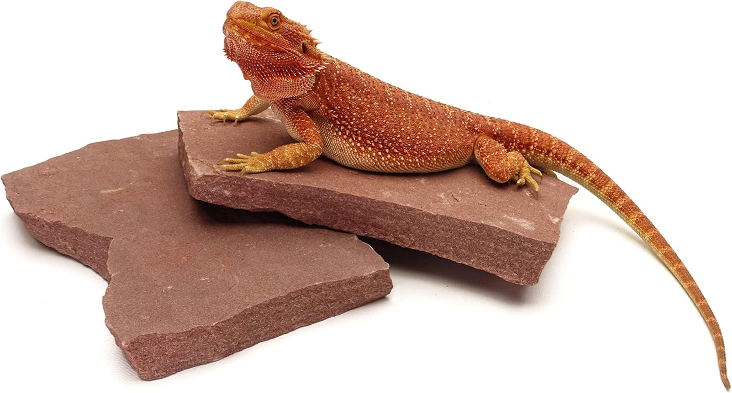 CAROLINACUSTOMCAGES Natural Habitat Basking Rocks for Reptiles, Wyoming Rose, Medium Size Pair, Carolina Custom Cages