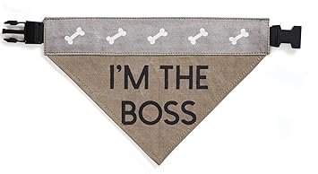 Mona B Canvas Dog's Life Bandana for Dogs, Multicolor, Medium/Large.