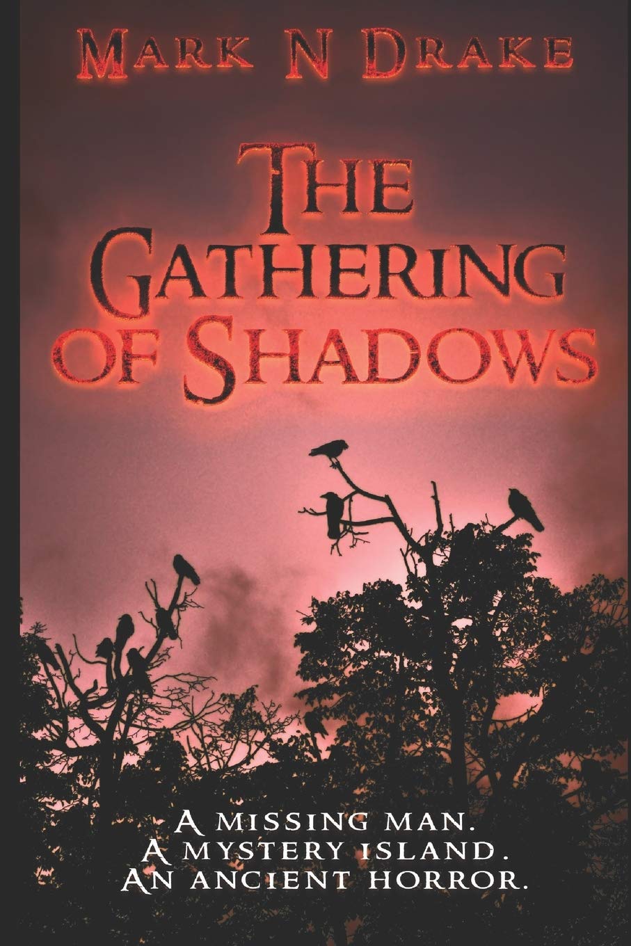 The Gathering of Shadows (The Glennison Darkisle Cases Book 1)