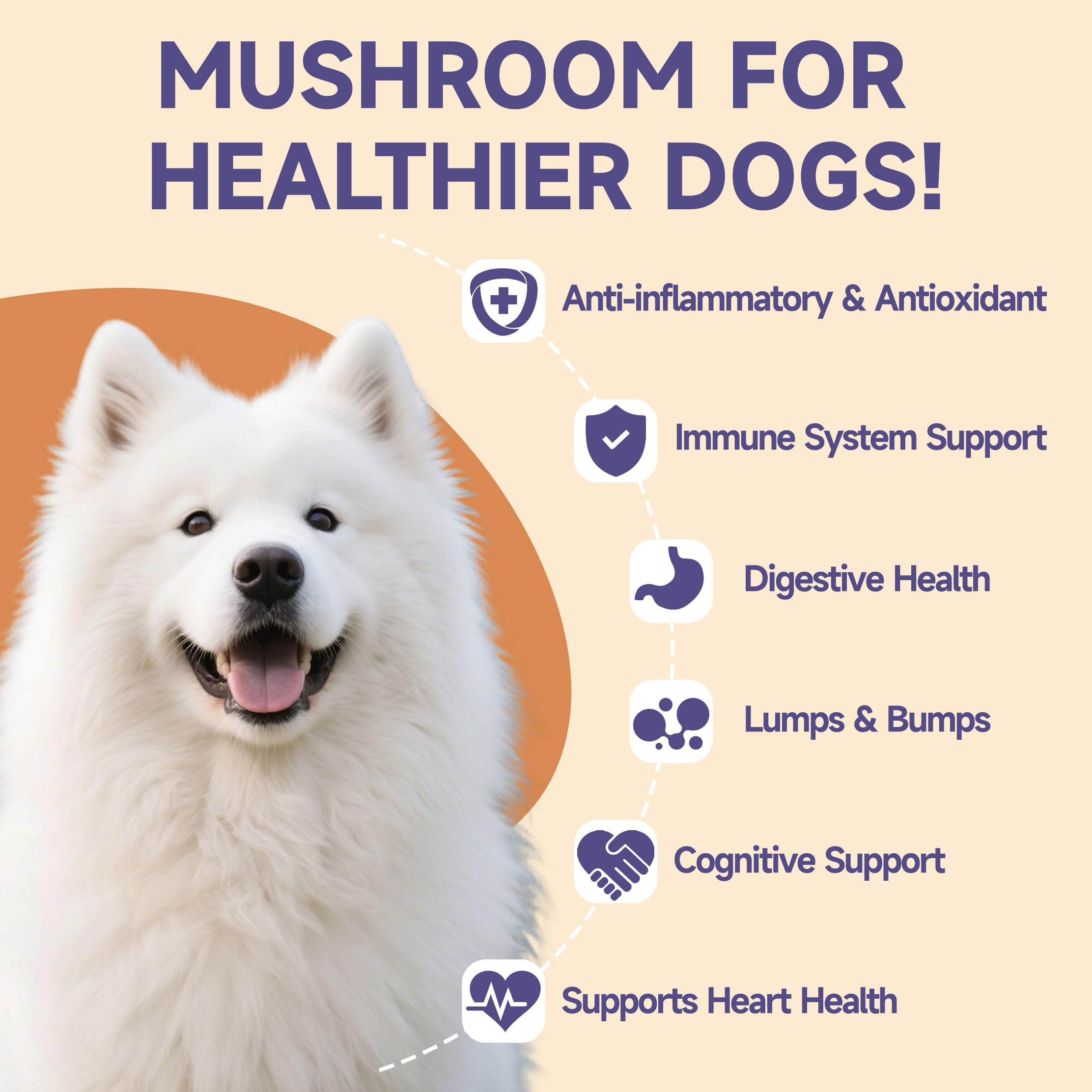 Integratore liquido a base di funghi per cani - Supporta la Salute delle Articolazioni, Aumenta l'Energia, Rafforza l'Immunità, Miscela di Funghi Liquida, 60 ml