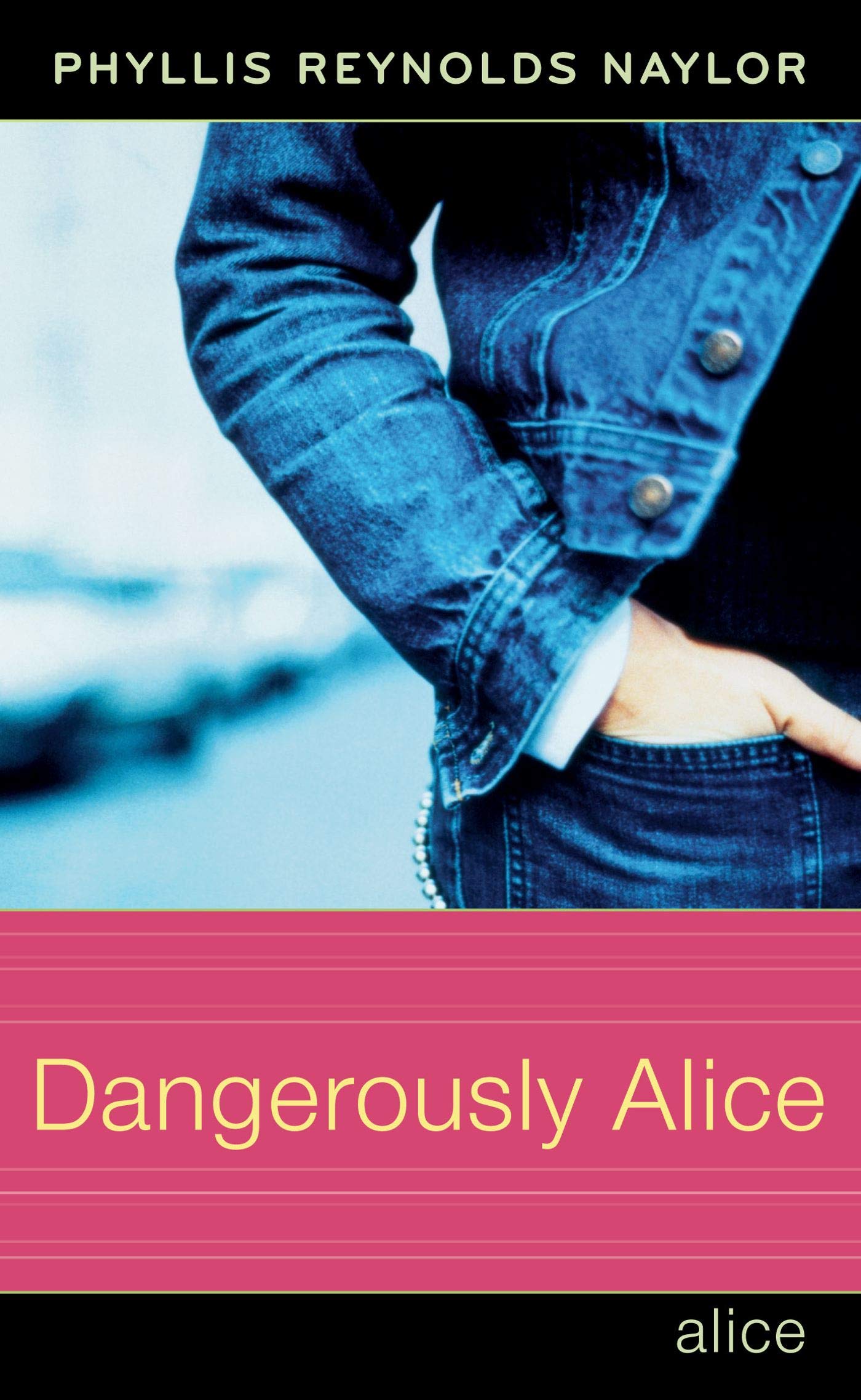 Buy Dangerously Alice: Volume 19 (Alice, 22) — BookShops.in