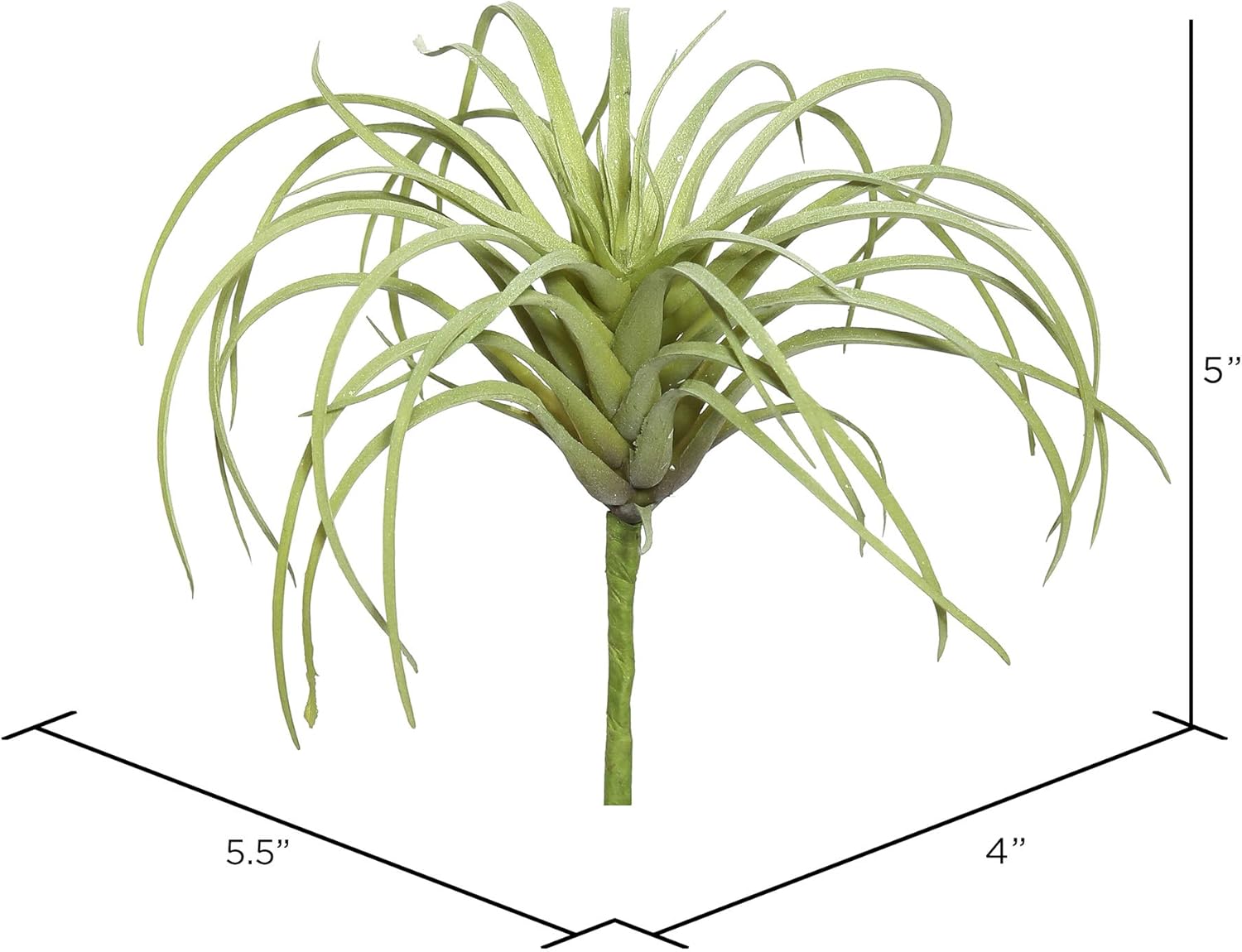 Vickerman Everyday 5" Indoor Artificial Green Tillandsia Pick - Decorative Pick of Durable Polyester Greenery for Home Or Office - Maintenance Free - 6 per Pack