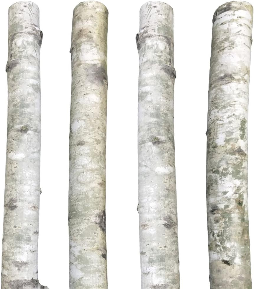 Decorative Silver Aspen Poles 8'