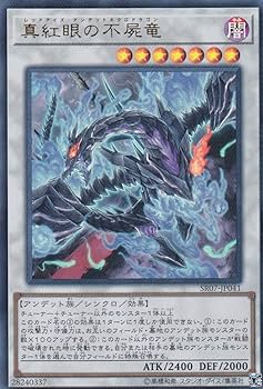 遊戯王　本格構築真紅眼征竜デッキ40枚＋E X15枚＋α 遊戯王 本格構築真紅眼征竜デッキ40枚＋E X15枚＋α - メルカリ