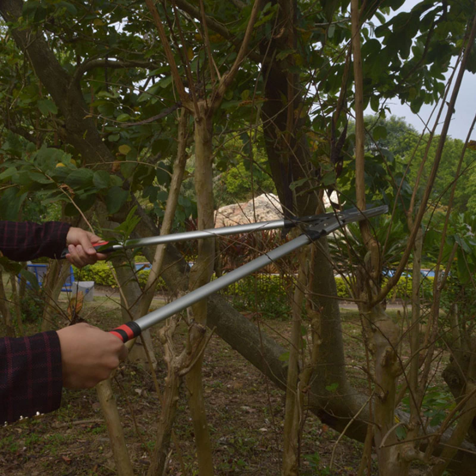 MRKU Tijeras para setos de jardín, podadoras de derivación y Tijeras de podar para podar boj y arbustos Altos Tijeras de podar para árboles Tijeras de Yunque Tijeras para Ramas de Alta Resistencia