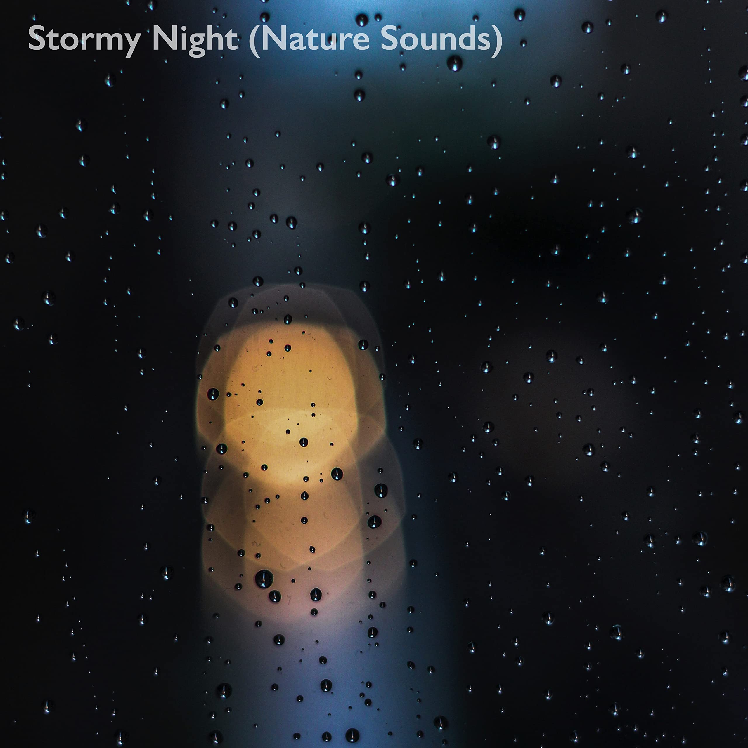 Stormy Night (Nature Sounds)