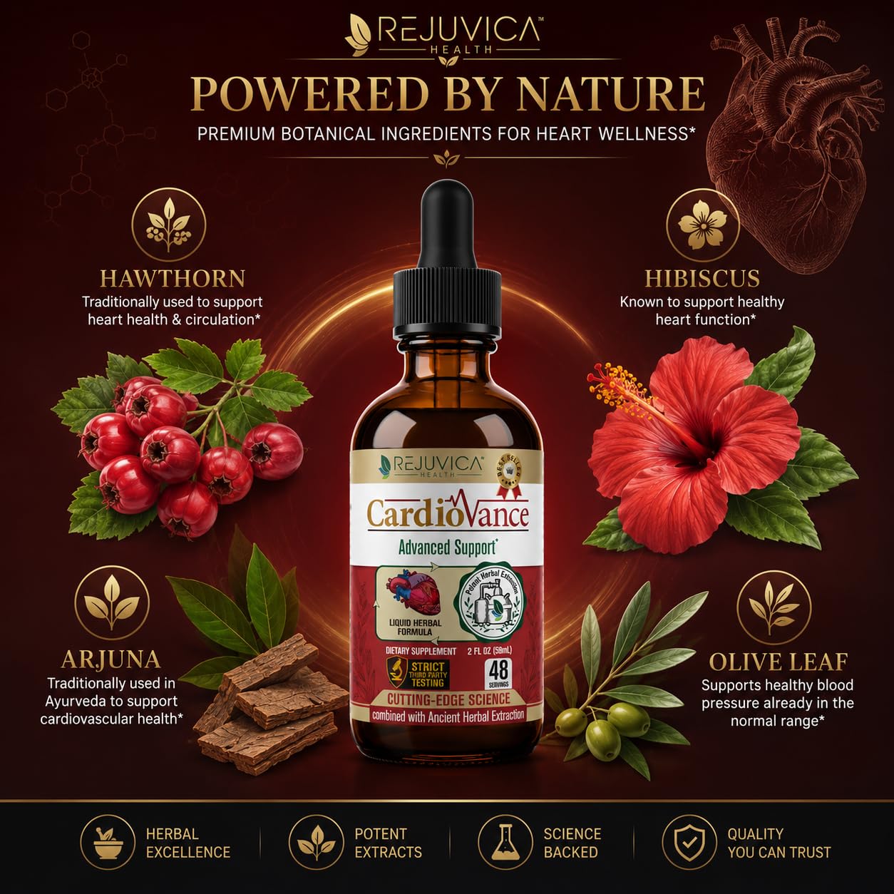 Rejuvica Health CardioVance | Heart Support Liquid Drops | Hawthorn, Hibiscus & Olive Leaf Extract | Supports Healthy Blood Pressure & Circulation | Fast-Absorbing Herbal Formula | 1+ Month Supply — Amazon image 4