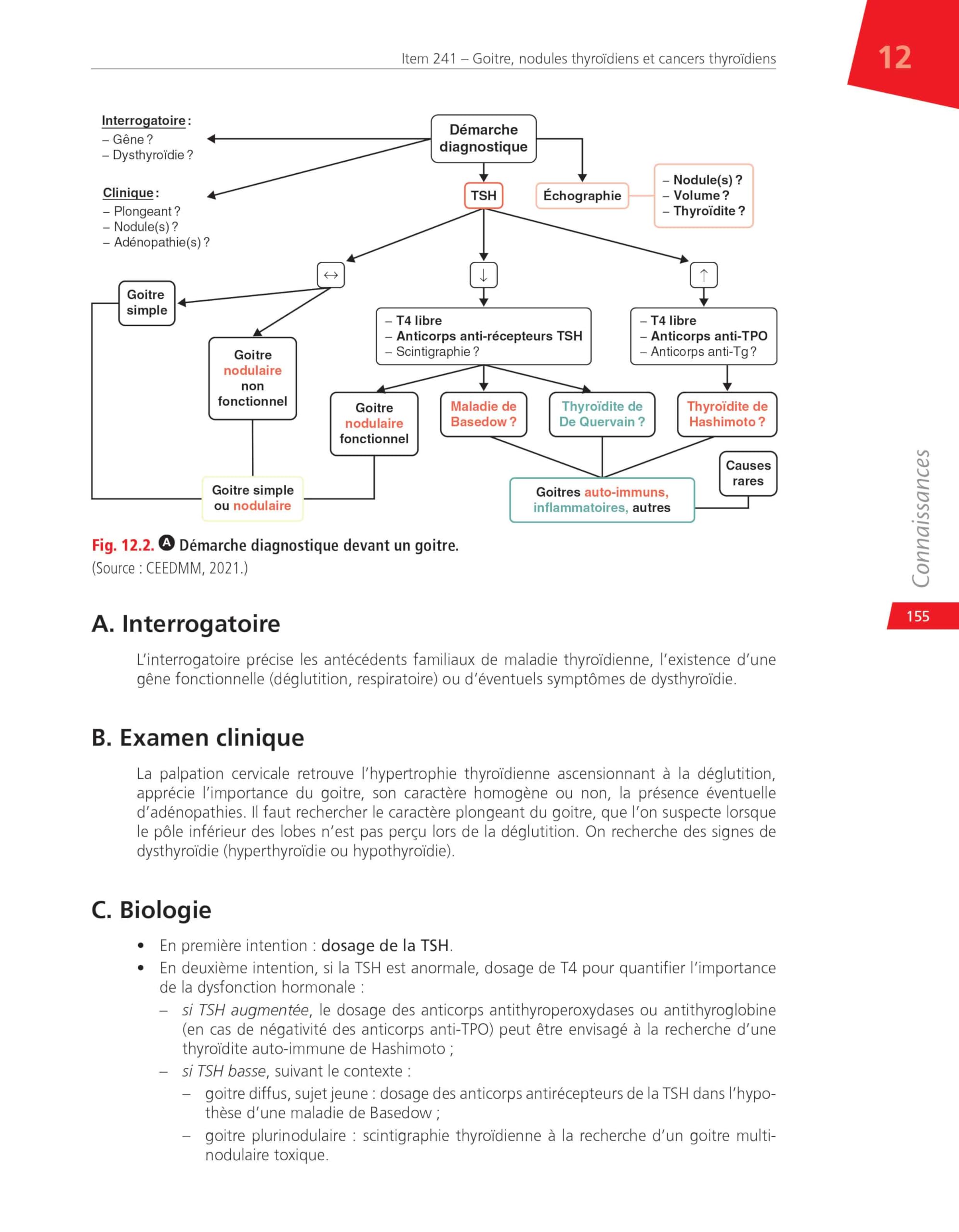 Endocrinologie, diabétologie et maladies métaboliques: Réussir ses EDN