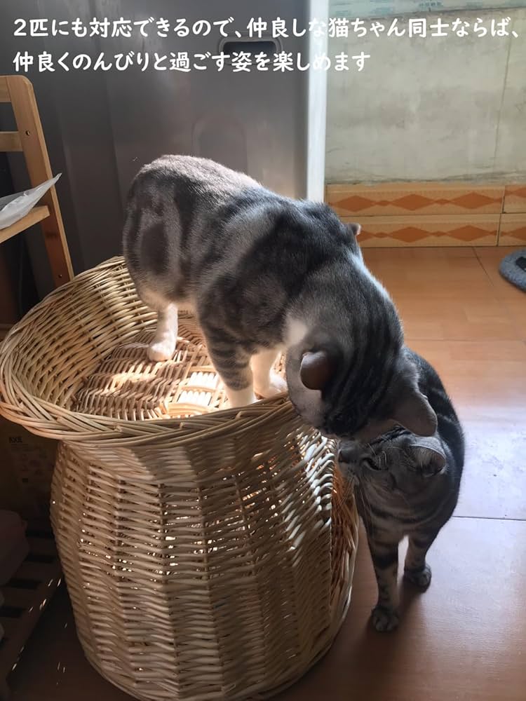 ペット用ベッド コージーホーム 犬ベッド 猫ベッド ちぐら 2段ベッド 犬ハウス 猫の2段ベッド ウレタンクッション付き ペット用ベッド ちぐら