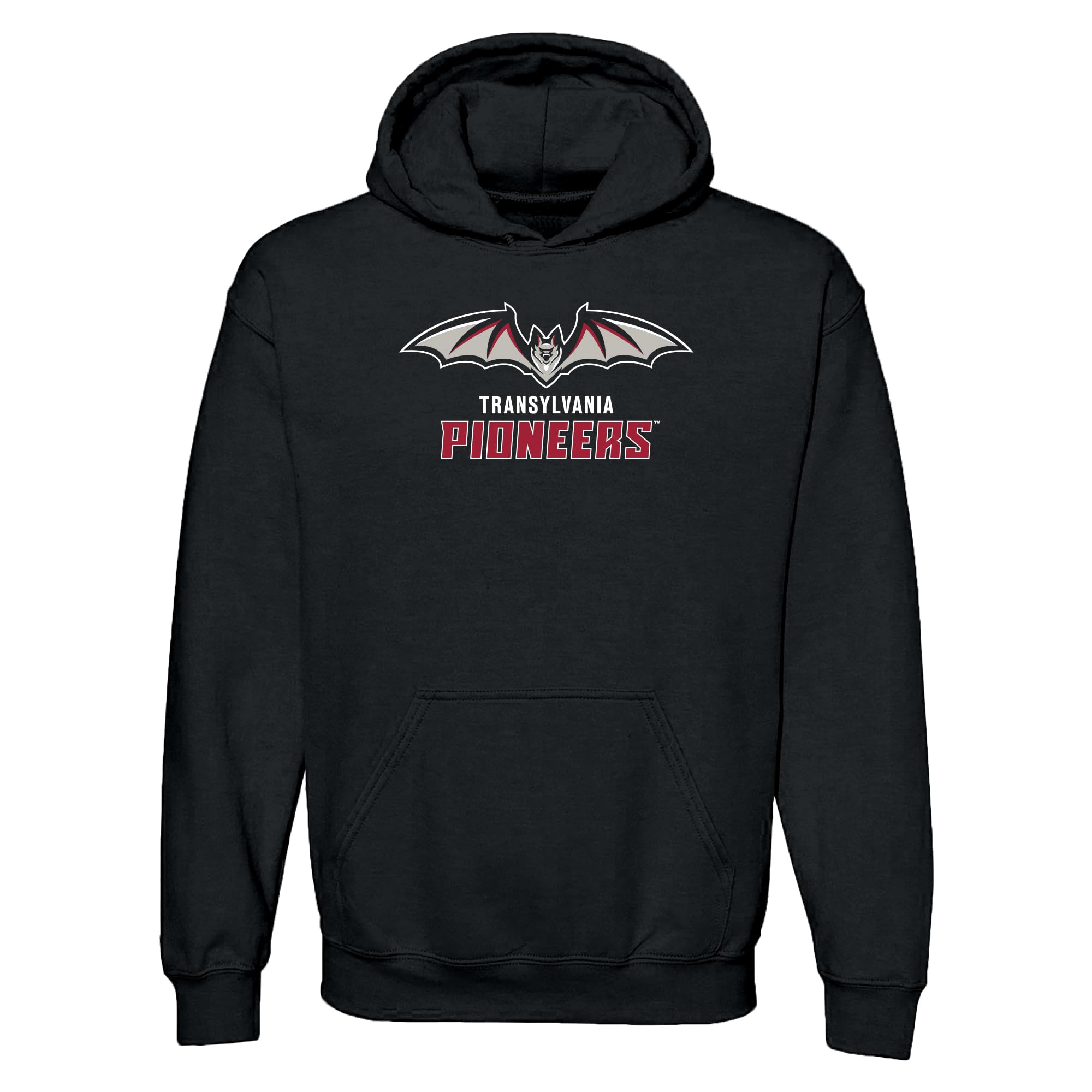 UGP Campus ApparelHometown Baseball Script - Hometown Pride, Pitcher HOODIE