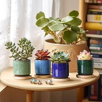 Amazon.co.jp: T4U 6cm 多肉植物鉢 サボテン鉢 氷裂釉 陶器