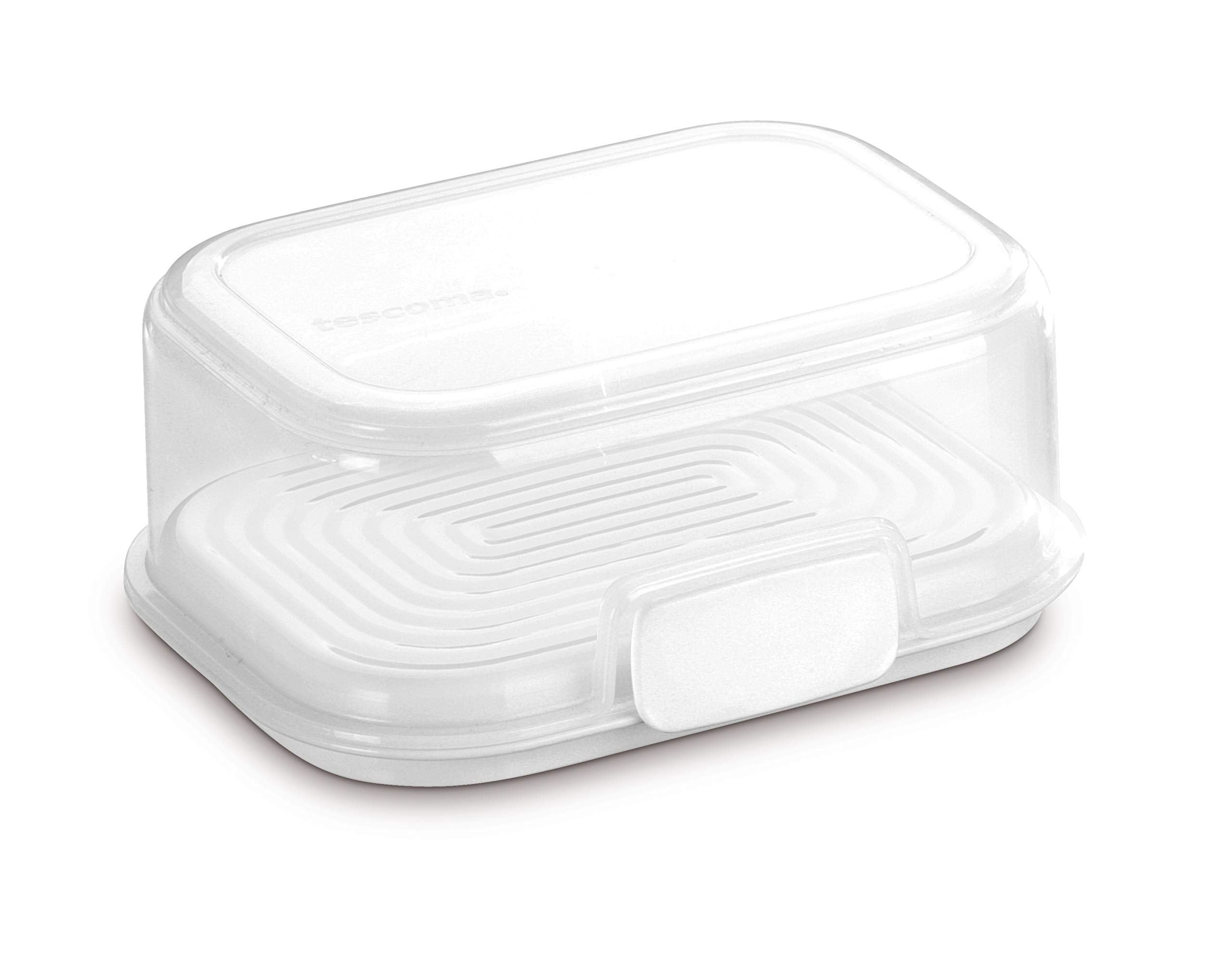 Tescoma Freshzone 17 x 13 cm Food Container