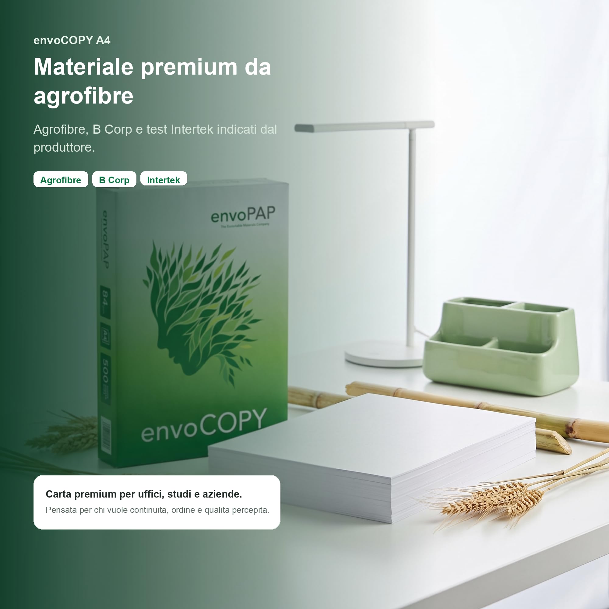Carta A4 Premium 80 g/m² da Agrofibre, 5 Risme, 2.500 Fogli | Carta A4 premium 80 g/m² da agrofibre, 500 fogli, ideale per uffici, aziende e studi professionali.