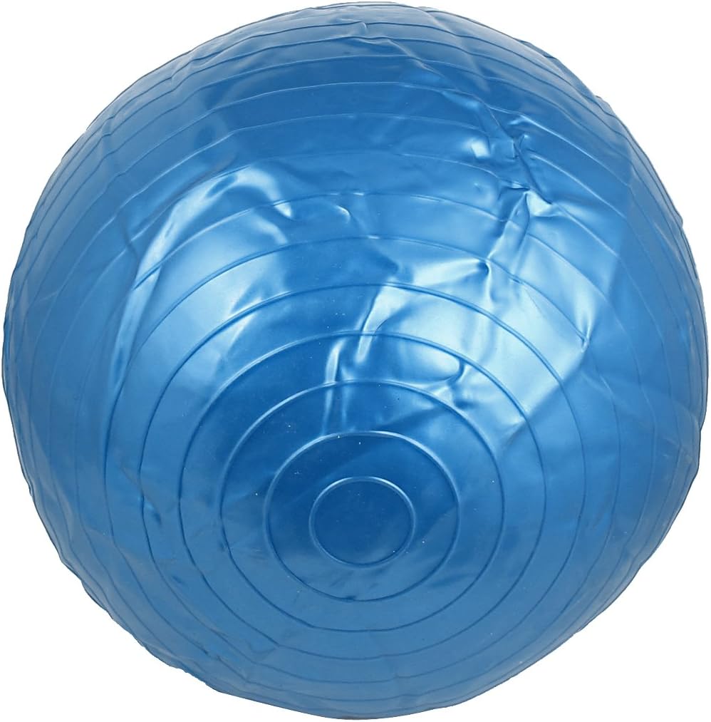 Lady Swiss Gym Inflatable Fitness Aerobic Yoga Exercise Ball 55cm Blue (id: bf9 920 f57 a3a 428