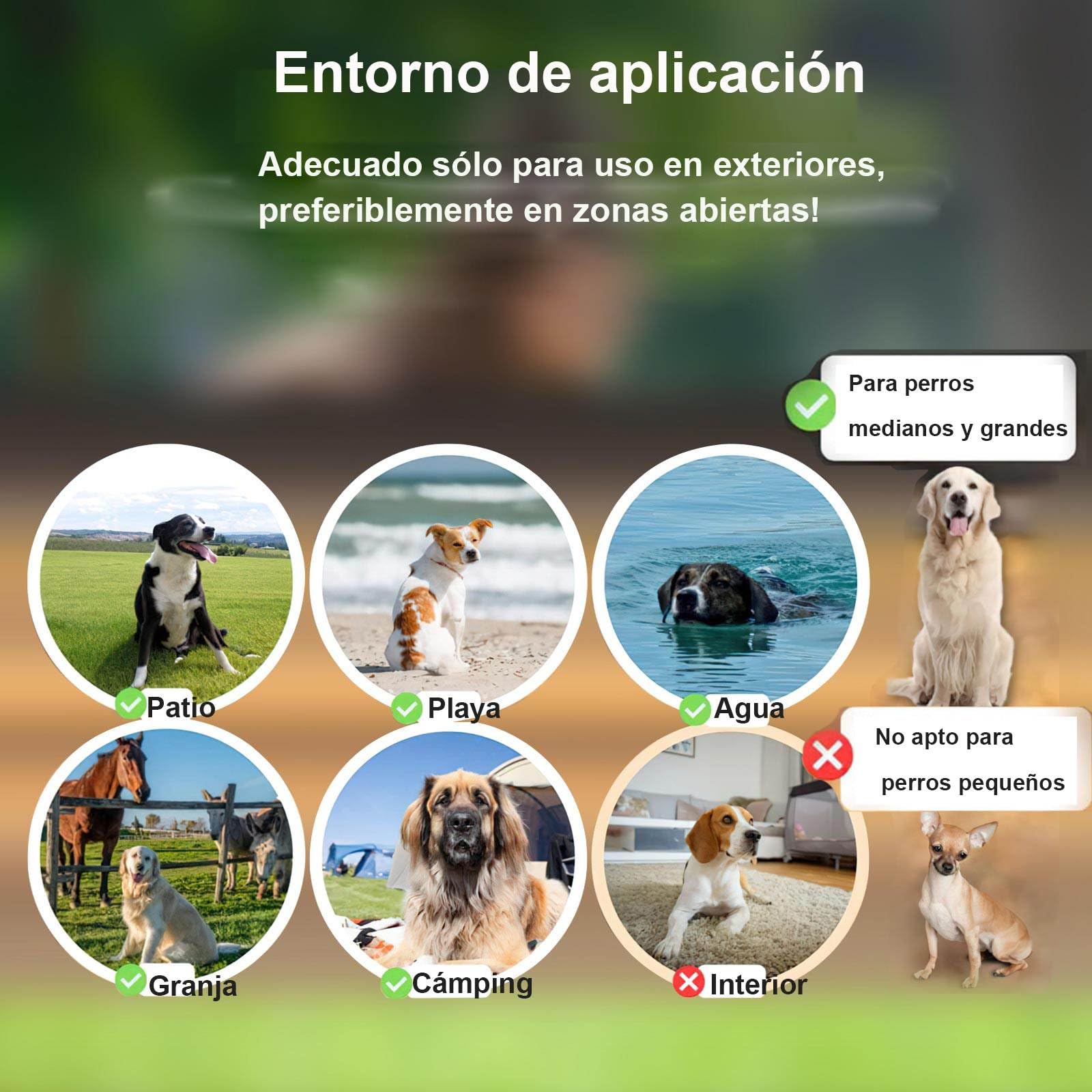 Sistema Valla Inalámbrica para Perros GPS Uso en Exteriores, Collar Valla Antifuga, IPX7 Impermeables, 4ra Gen última Tecnología de Chip GPS, Radio hasta 999 Yardas, para Perros Medianos y Grandes