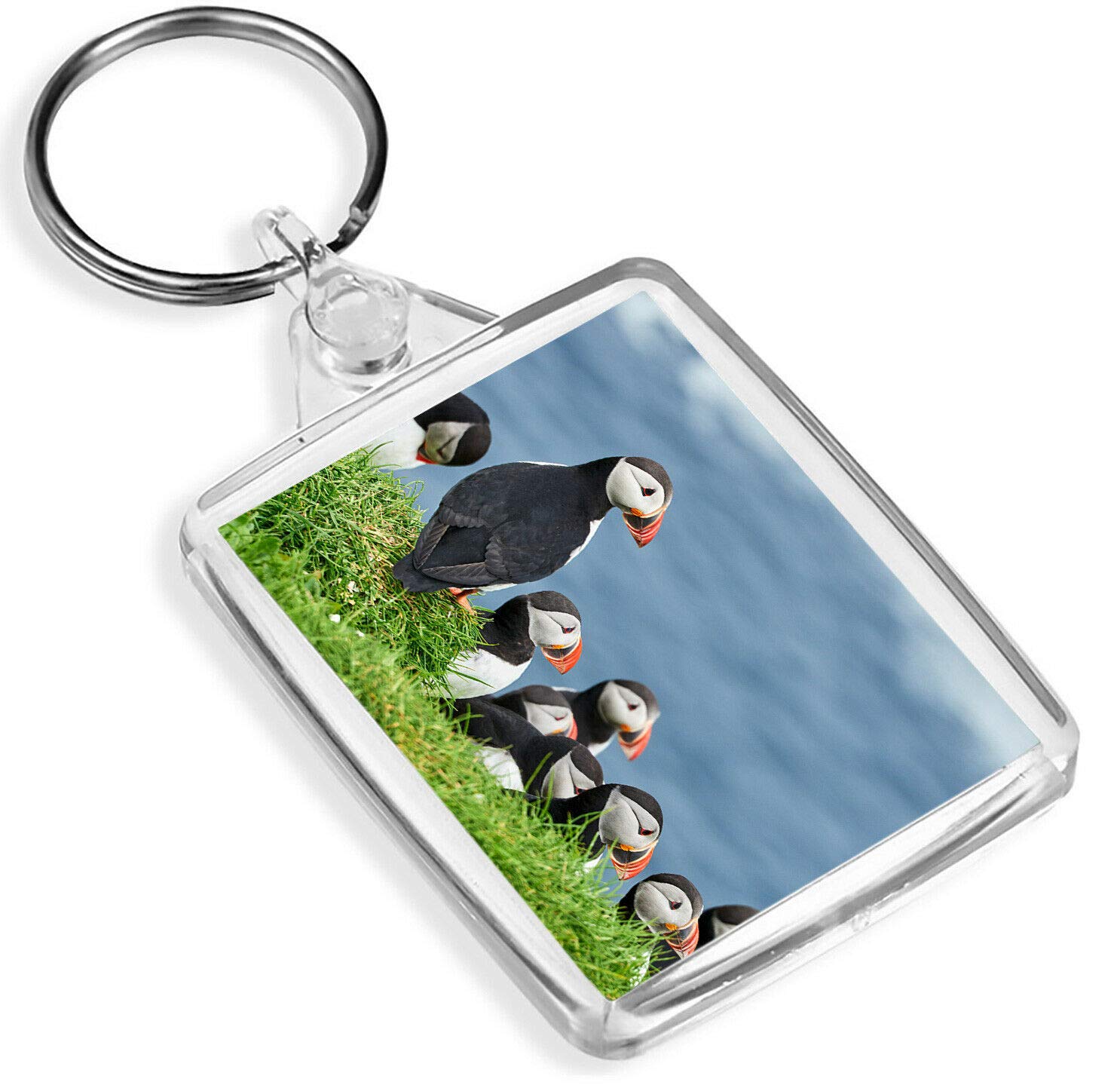 Destination Vinyl Keyrings Unisex Multi Puffins On Mykines Keyring -Ip02- Faroe Islands Beautiful Wild Birds #16953