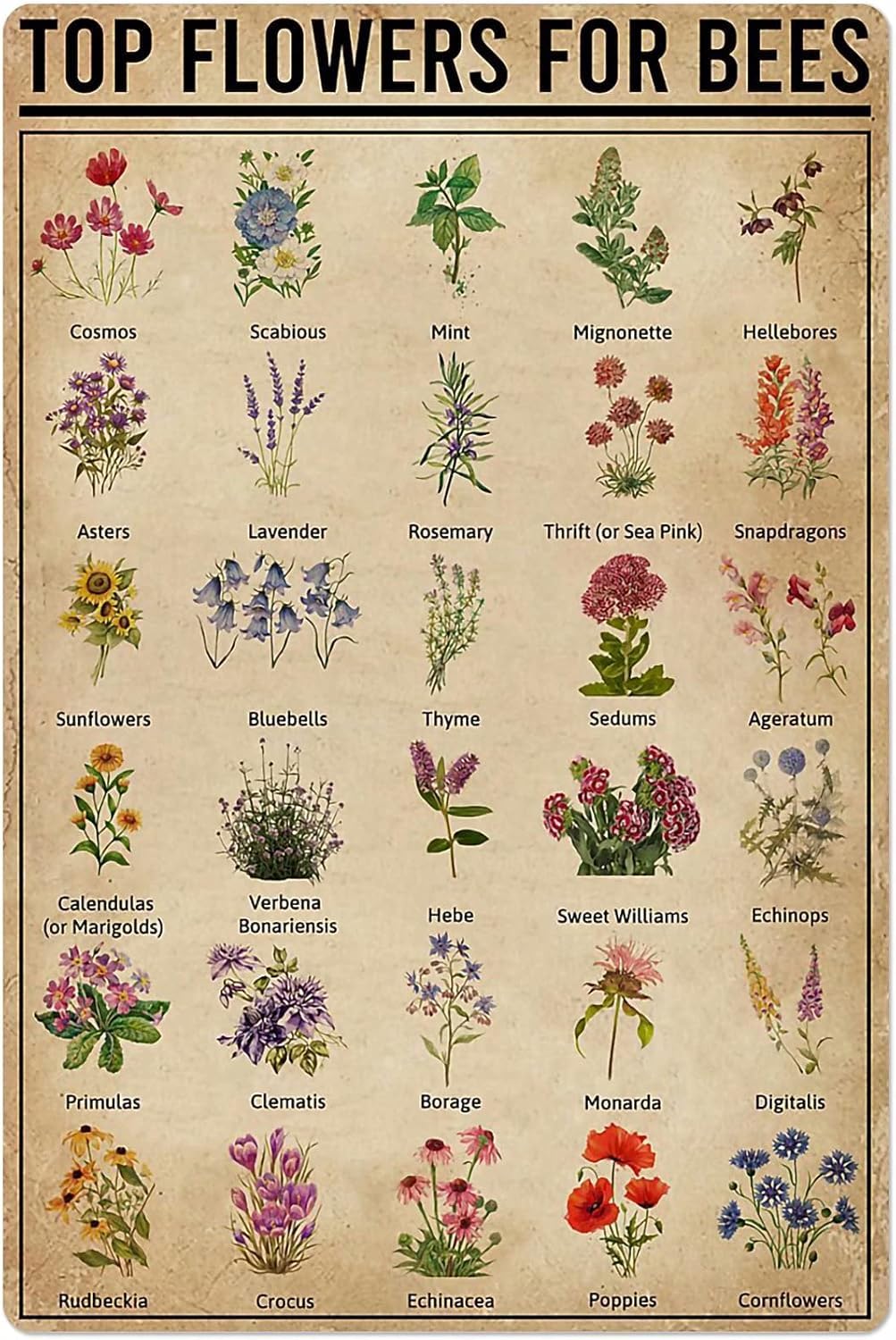 Yunking Style-1146 Plant Knowledge Metal Tin Sign Top Flowers For Bees Chart Poster Farm Garden Flower Shop Club Wall Decoration Plaque 8X12 Inch