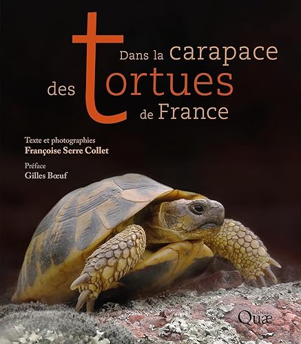 Dans la carapace des tortues de France: Préface Gilles Boeuf