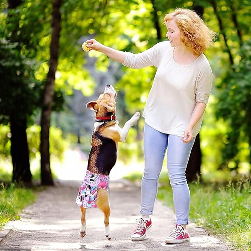 Miniatura 7 de XPCARE Pañales reutilizables para perros, paquete de 4 absorbentes, a prueba de fugas para perras hembras (XS)