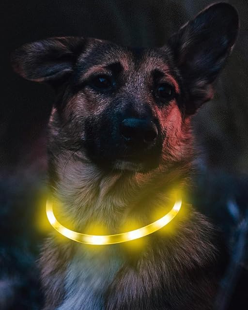 Foto 3 de 6 de Joytale Collar Luminoso Perro, Collar para Mascotas LED Ajustables con Luz