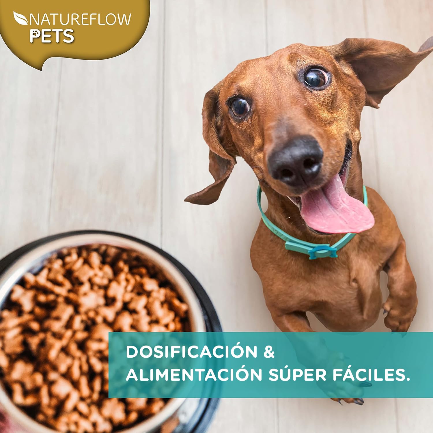Mejillón de Labio Verde en Polvo para Perros 500g – Suplemento Natural con glucosamina, mejillón Labio Verde Perros, mejillon Labios Verde, 500g de Nueva Zelanda, Apoyo Articular