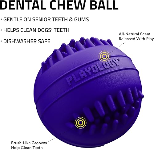 Miniatura 2 de Playology Silver - Juguete dental masticable para perros, diseño para perros mayores de raza mediana (15 a 35 libras)  Aroma de salchicha de cerdo