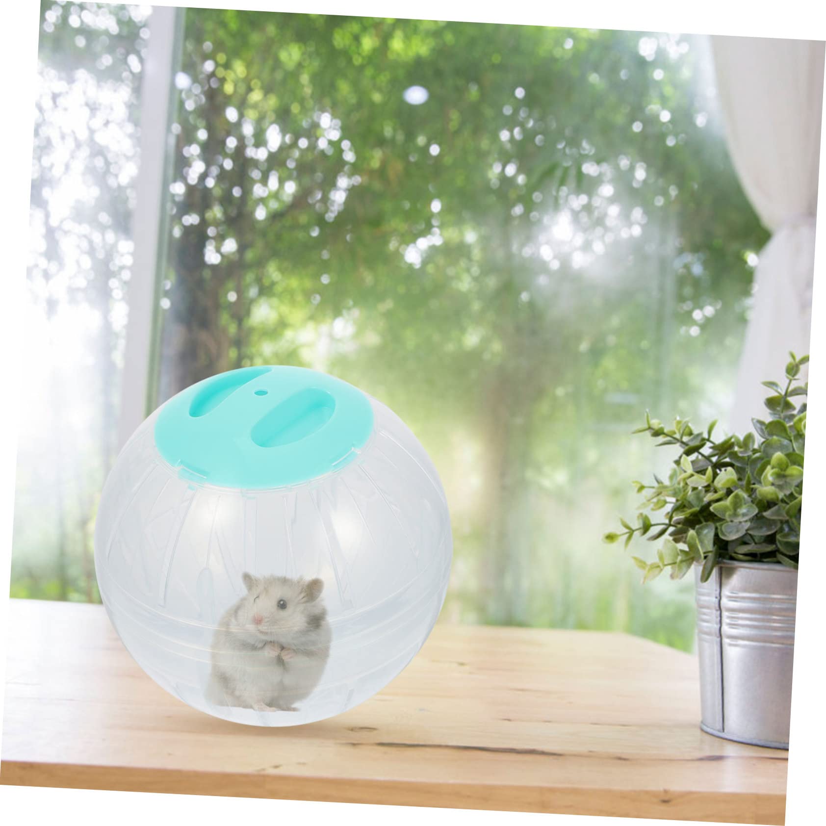 4stücke Hamster Übungsbälle Für Kleine Tiere Transparente Laufräder Für Hamster Und Kleine Nager Fördert Bewegung Und Spiel Langeweile Und Stress