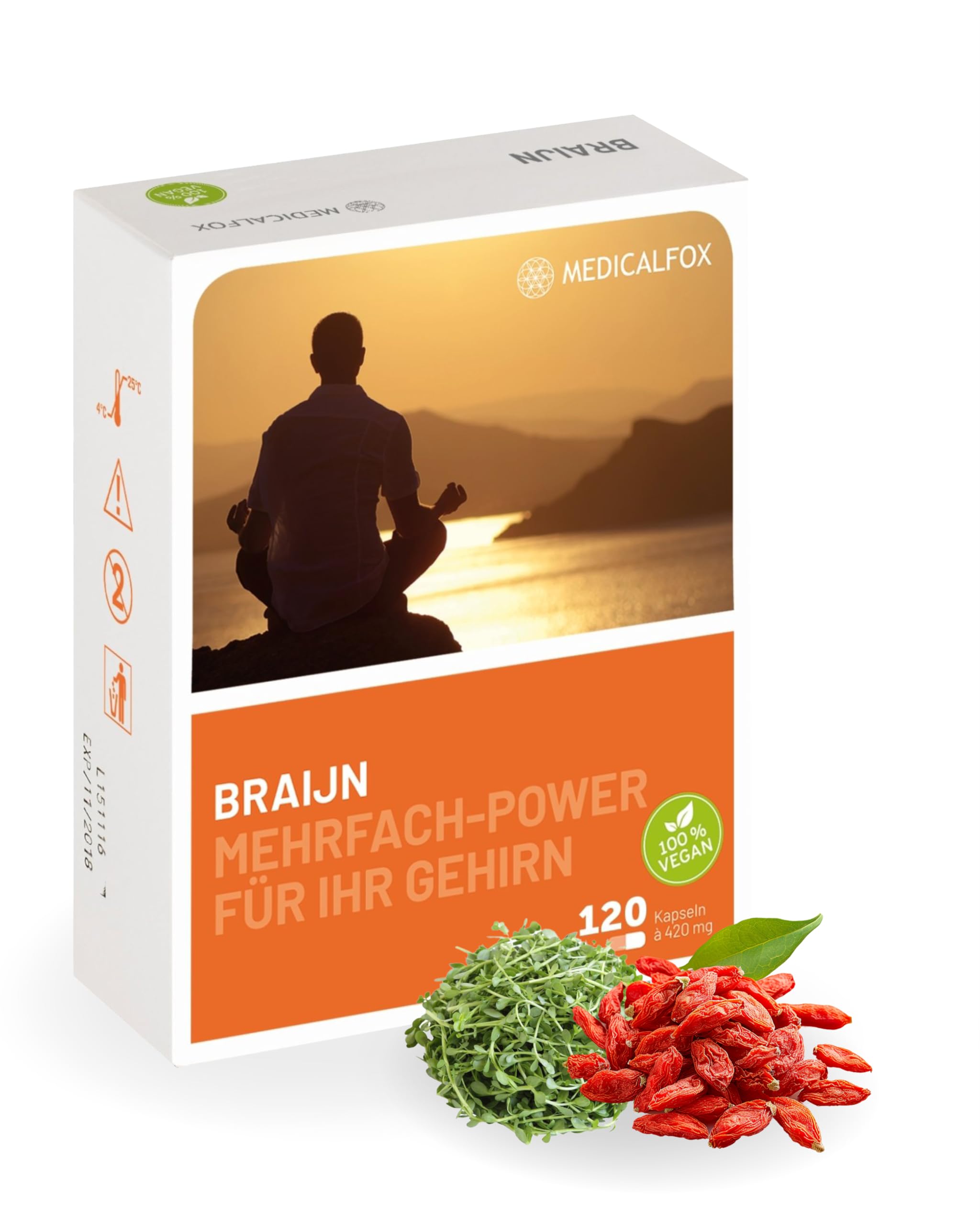 BRAIJN Konzentrations- & Gehirn Kapseln für Männer 120 Stk. vegan - Mit Vitamin B5 Pantothensäure für normale geistige Leistung, Wirkstoff-Komplex aus Brahmi, Ginkgo, Gojibeere & Zink