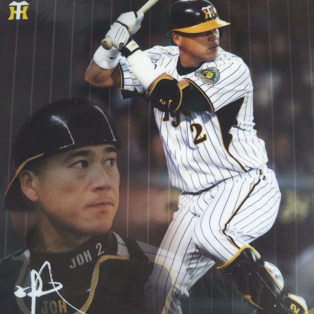 阪神タイガース 城島健司 支給品 バット