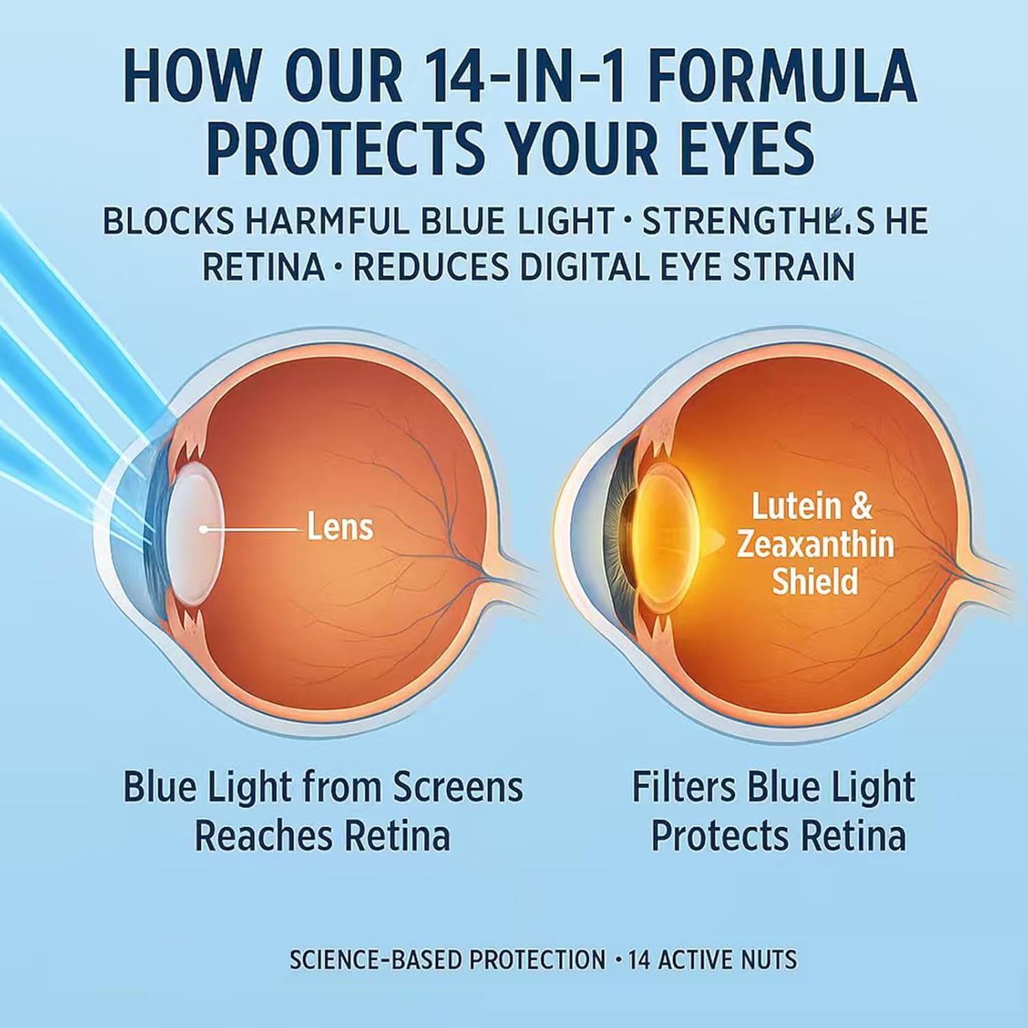 Evervision 14 in 1 Advanced Eye Formula, Neurobella Eye Vitamin and Mineral Supplement with Zinc, Lutein, Zeaxanthin & Bilberry Extract, 60 Capsules (1)