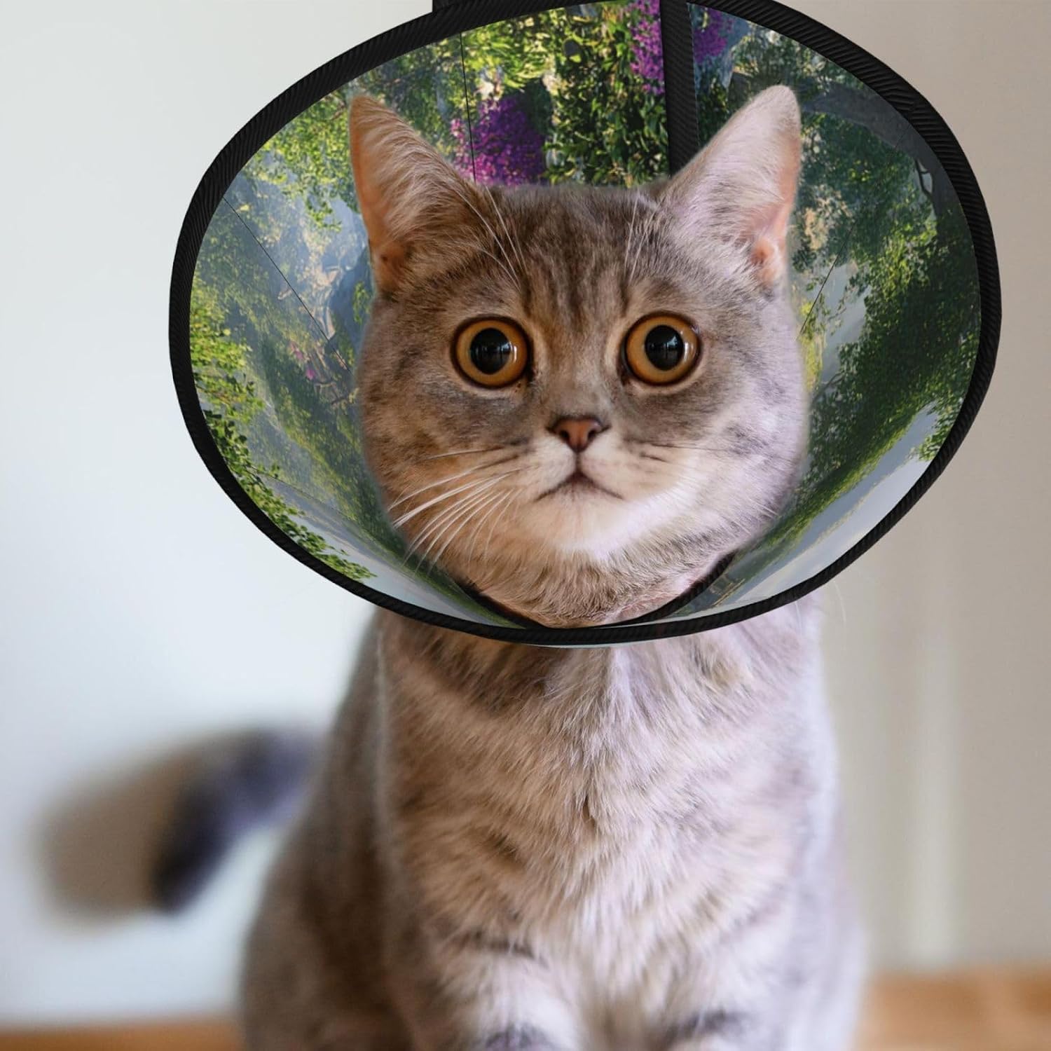 Custom Pet Cones - Unique Design Cat & Dog Cone, Collar for Post-Surgery Recovery, Adjustable Neck Shangri-La Large