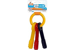 Nylabone Keys Puppy Chew Toys for Teething
