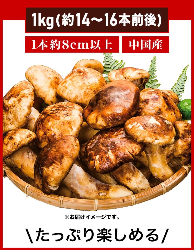 販売ウェブサイト 【南信州産】松茸 訳あり たっぷり1キロ
