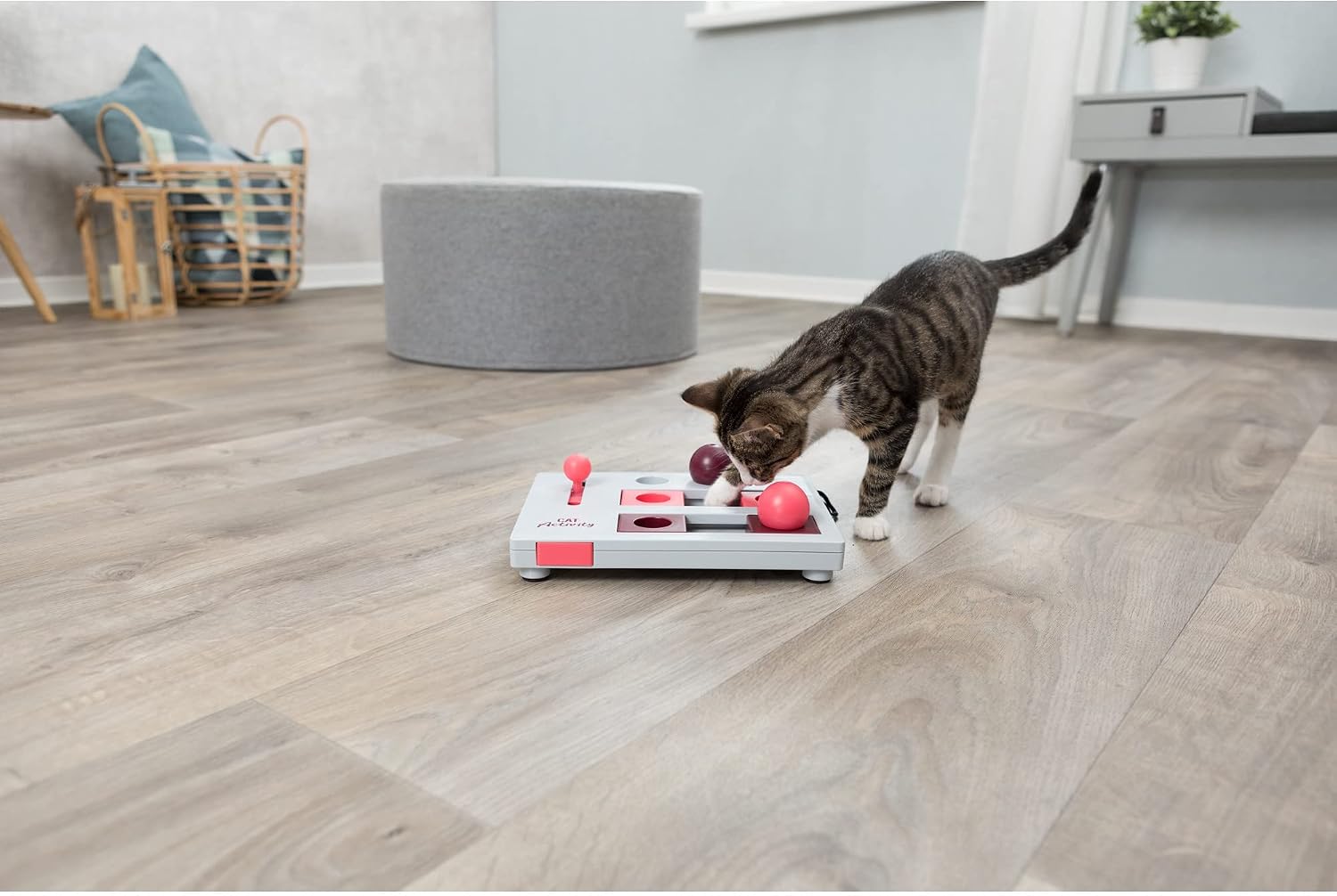 TRIXIE Cat Activity Brain Mover, Strategy Game for Mental Stimulation, Interactive Play for Cats, Treat Dispenser, Cat Toy
