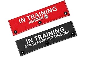 Humorous Dog Leash Sleeve in Training: A Fun and Educational Dog Leash Extender