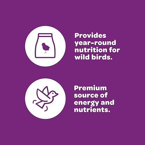 Miniatura 4 de Kaytee Nut & Fruit - Semilla de ave silvestre, 5 lb