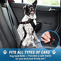 Vista 2 de COOYOO cinturón de seguridad retráctil y ajustable para perro, juego de 3 piezas, cinturón de nailon para vehículo, para que tu mascota esté segura