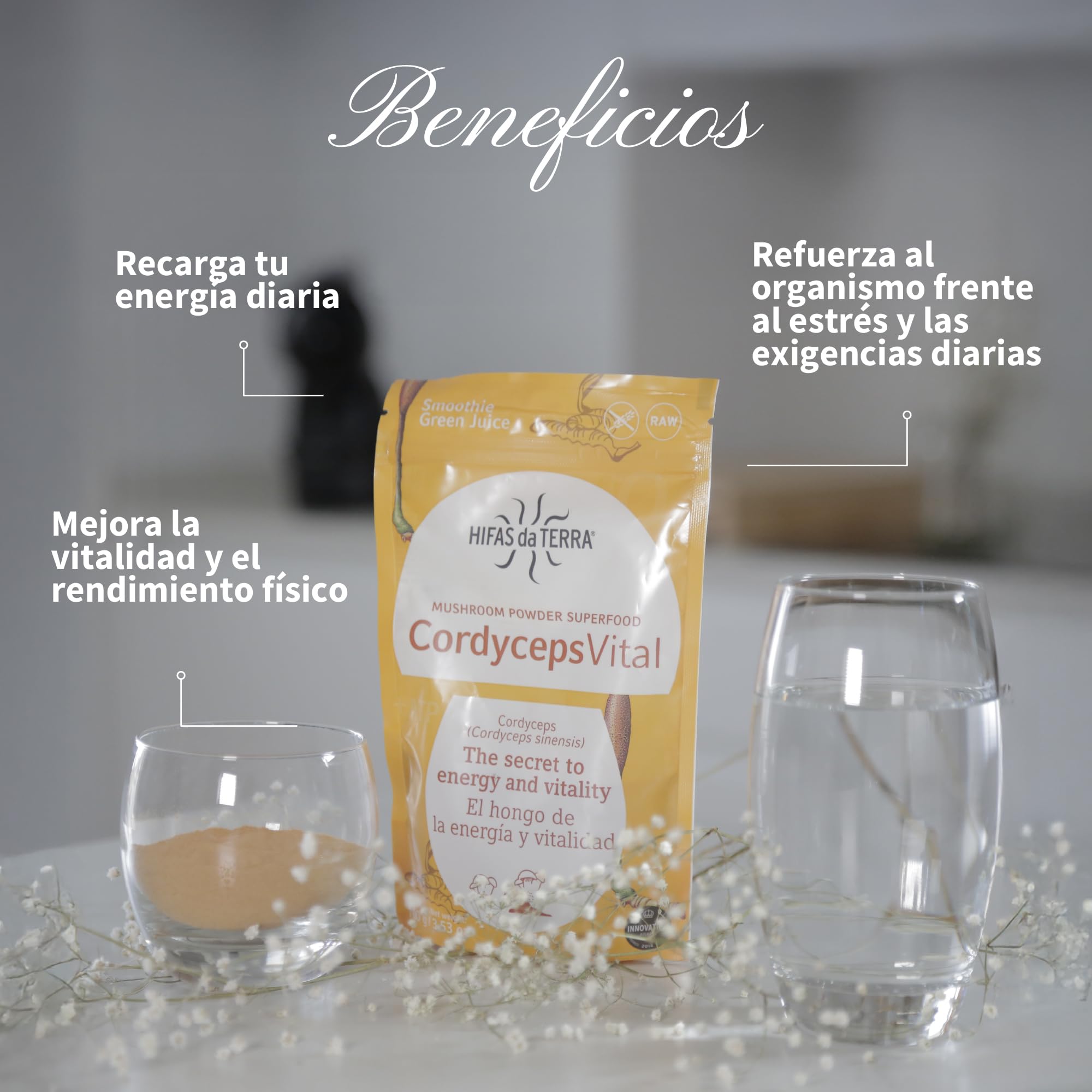HIFAS DA TERRA - Cordyceps Vital 100% Polvo de Cordyceps - Superfood Polvo de Hongos - Energía, Vitalidad y Rendimiento - Suplemento Natural para el Bienestar General y la Actividad Diaria - 100 g