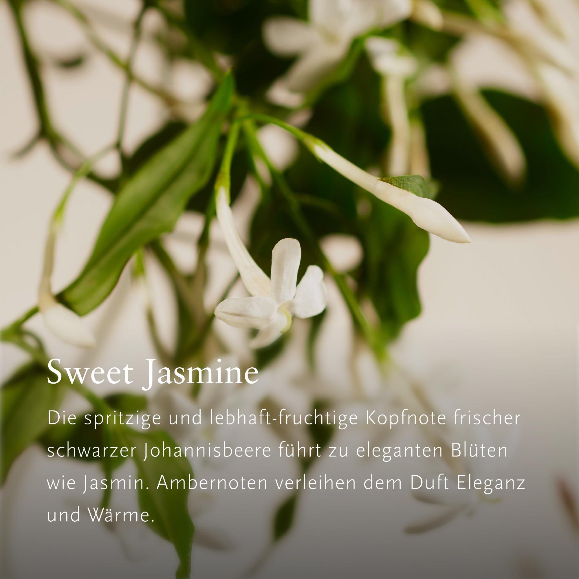 RITUALS Geschenkset Sweet Jasmine Large – luxuriöse Raumdüfte aus der Private Collection – Aromatherapie-Geschenkbox mit Raumparfüm, Duftkerze und Duftstäbchen