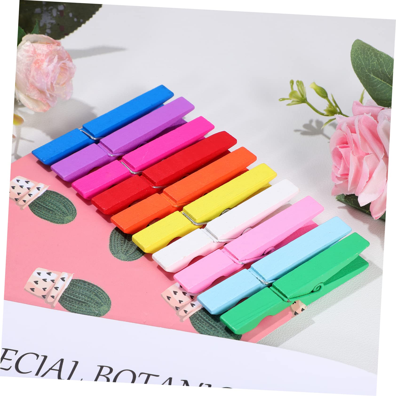 Alipis 100 Pezzi Mollette per Vestiti in Legno Molla in Filo, Resistenti e Antiruggine, per Appendere Calzini e Progetti Creativi di Artigianato