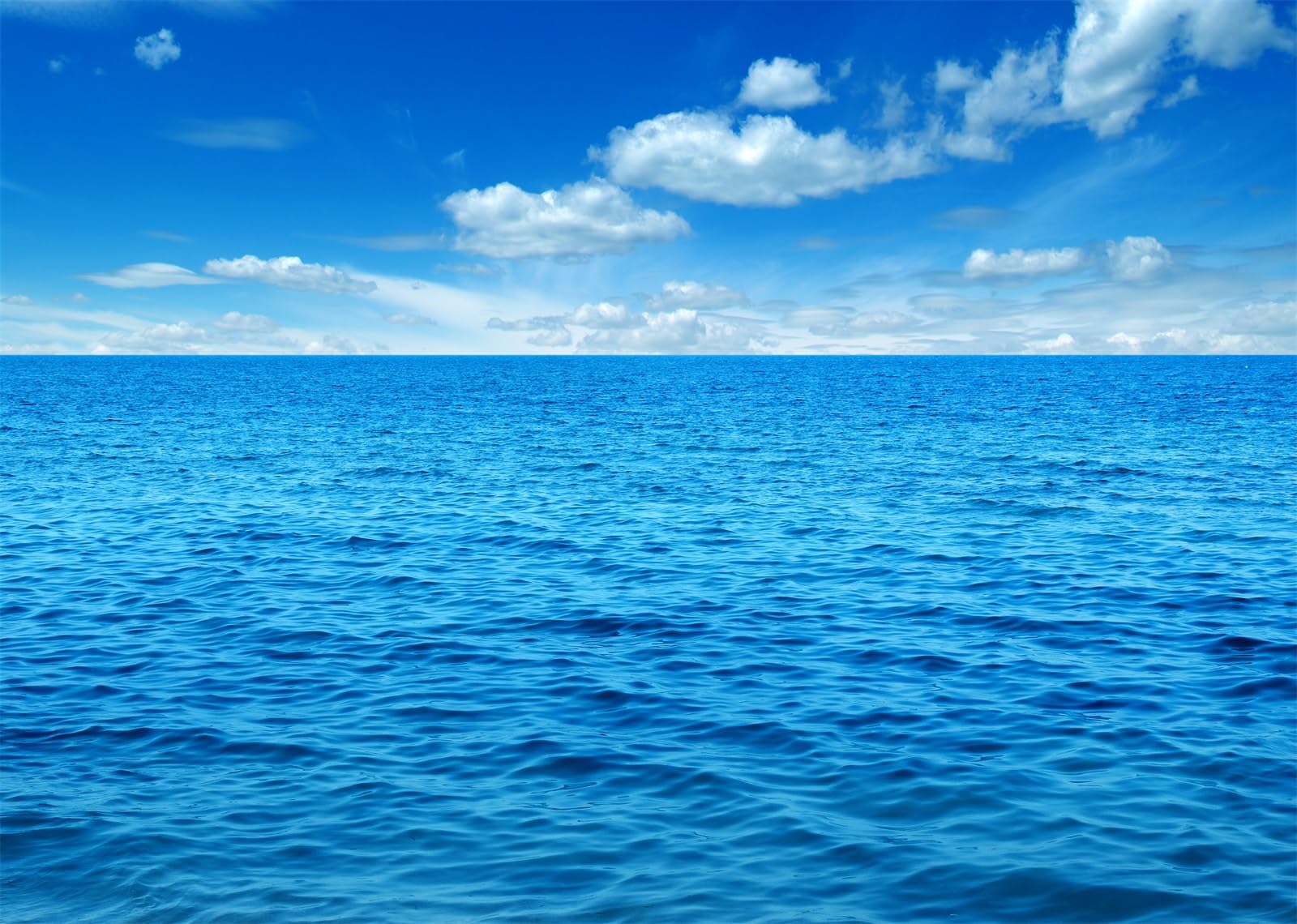 Loccor 7x5ft Fabric Ocean Sky Backdrop Summer Blue Ocean and Sky Natural Scenery Photography Background Sea Waves Backdrop Baby Shower Wedding