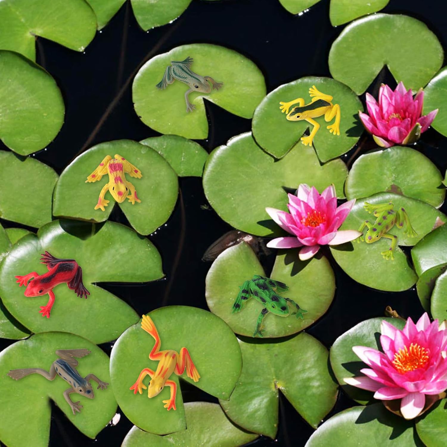 16Pcs Plastic Frogs Toy for Kids Easter Party Favors Mini Red Frogs Toys Fun Tropical Forest Character Toys for Boy Girl - Image 5