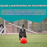 Ver la foto 5