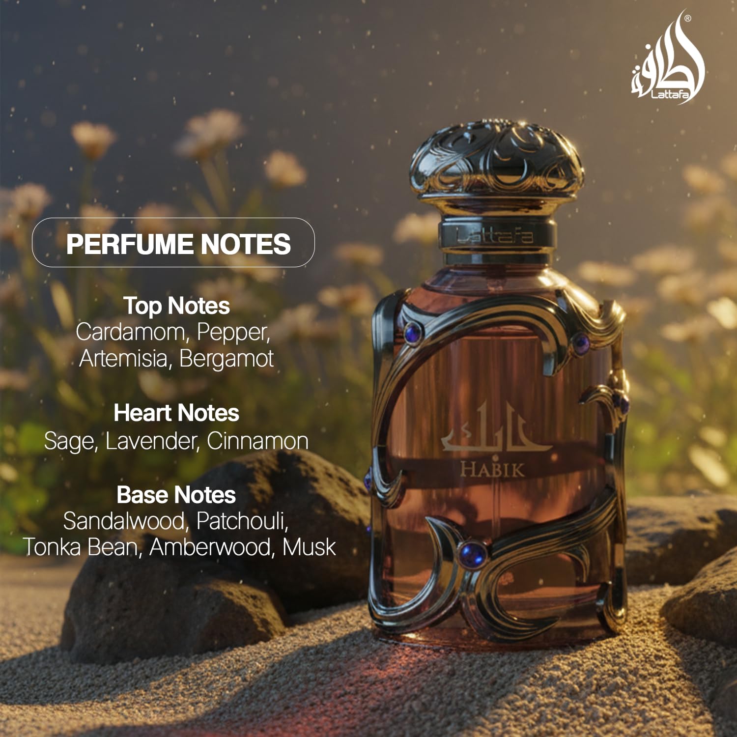 Amazon.com : Lattafa Habik – Spicy, Aromatic, Woody, Musky – Eau