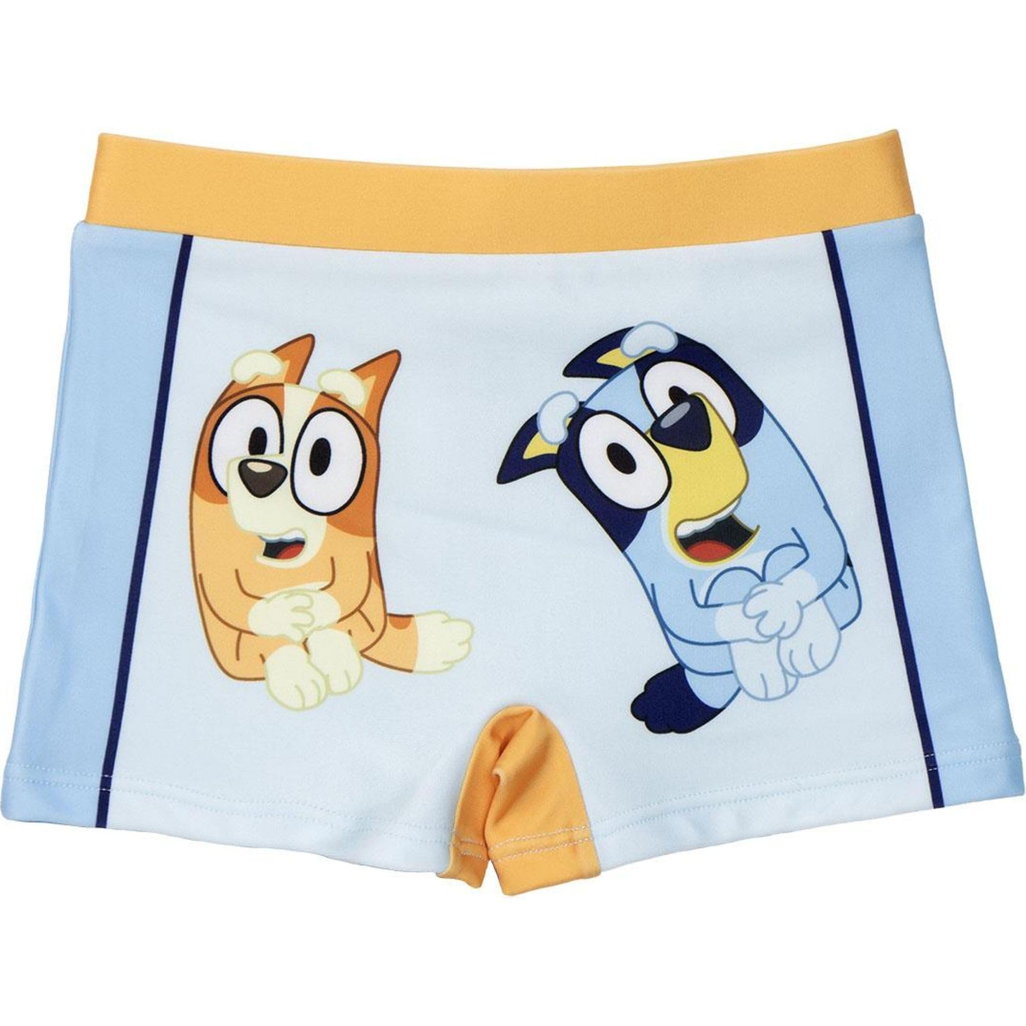 CERDÁ LIFE'S LITTLE MOMENTS Bañador Infantil de Bluey Niños