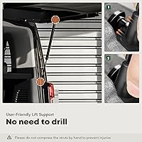 Vista 9 de Reemplazo de puntales de elevación del lado del pasajero trasero derecho para Cadillac SRX 2010-2016 (con puerta elevadora eléctrica)