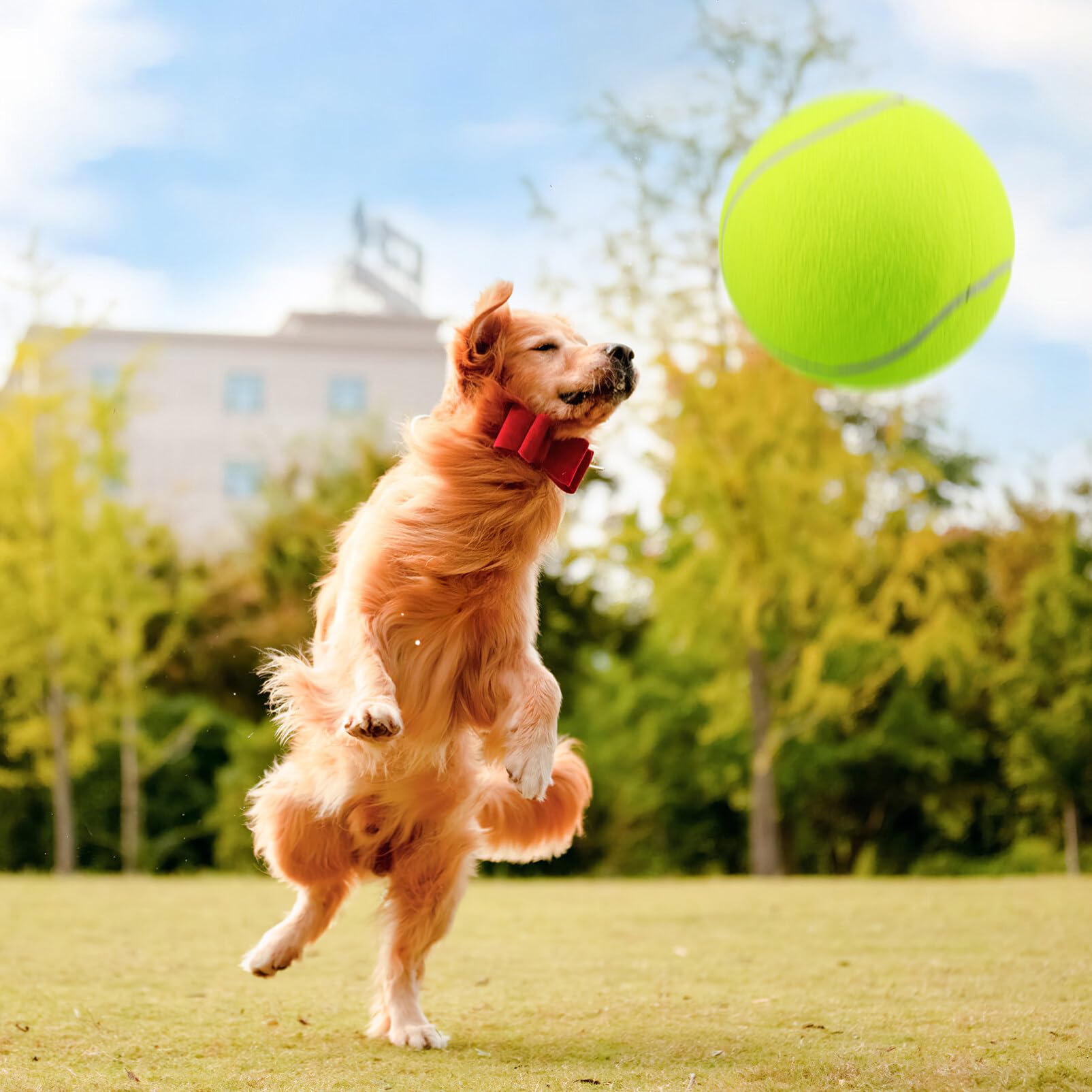 UEETEK Il Cane del Diametro 24CM mastica Il Pallone da Tennis Gigante della Sfera dell'animale Domestico per Il Grande Animale Domestico Che Gioca l'esercitazione