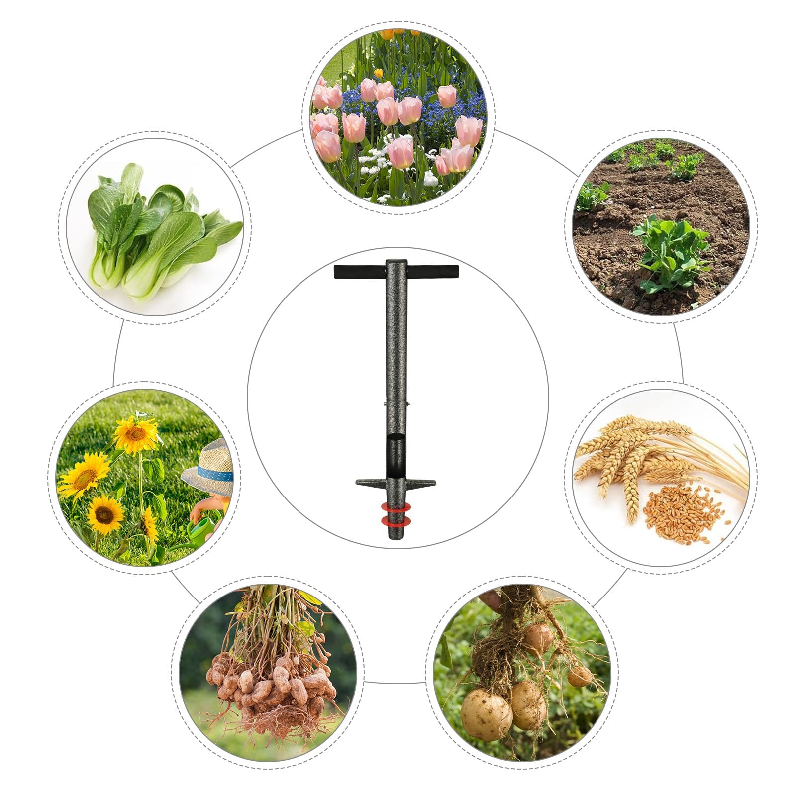 Plantoir à bulbes avec poignée ergonomique – Outil de plantation robuste pour planter bulbes, plantes à massifs, tulipes, crocus, dahlias, glaïeuls et lys