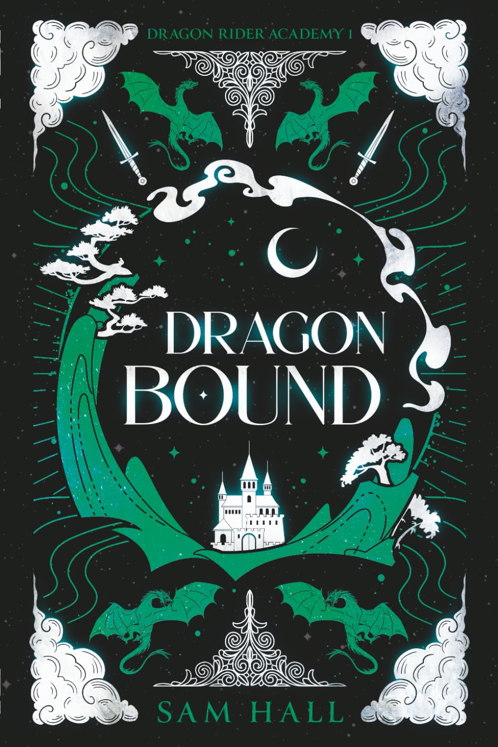 Dragon Bound: a curvy girl romantasy (Dragon Rider Academy)